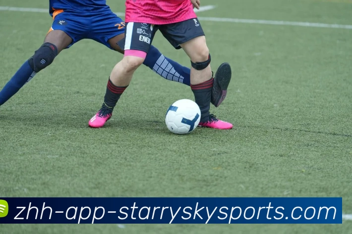 星空体育发展历程