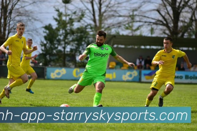 NBA国王队球员名单：盘点NBA国王队本赛季的球员阵容与变化